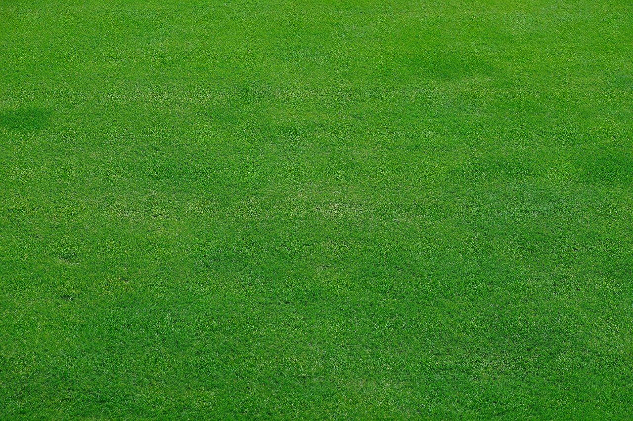 The Art of Drawing Readers In: Your attractive post title goes here lawn, meadow, grass, green, nature, spring, stalks, cut the lawn, mow, lawn mower, english lawn, texture
